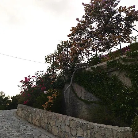 Tsapoula * Μουσάτα