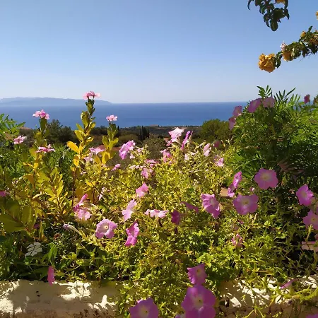 Tsapoula * Μουσάτα