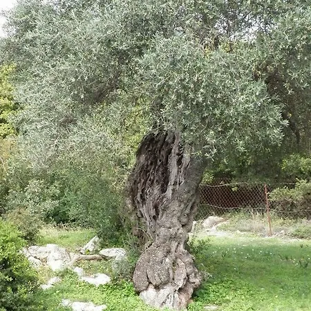 Σπίτι διακοπών Tsapoula Μουσάτα