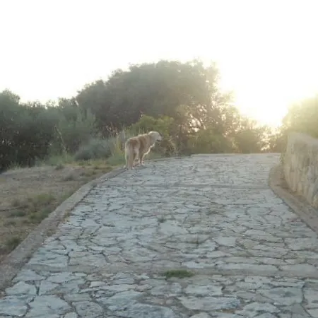 Tsapoula * Mousata